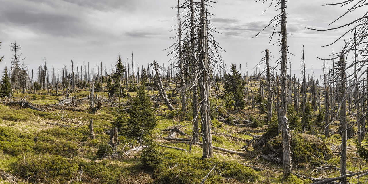 <span class="entry-title-primary">„Atyám, bocsáss meg nekik, mert nem tudják, mit cselekszenek!” (Vagy mégis tudták?)</span> <span class="entry-subtitle">Balla Lajos gondolatai Bozóki Antal blogja nyomán</span>