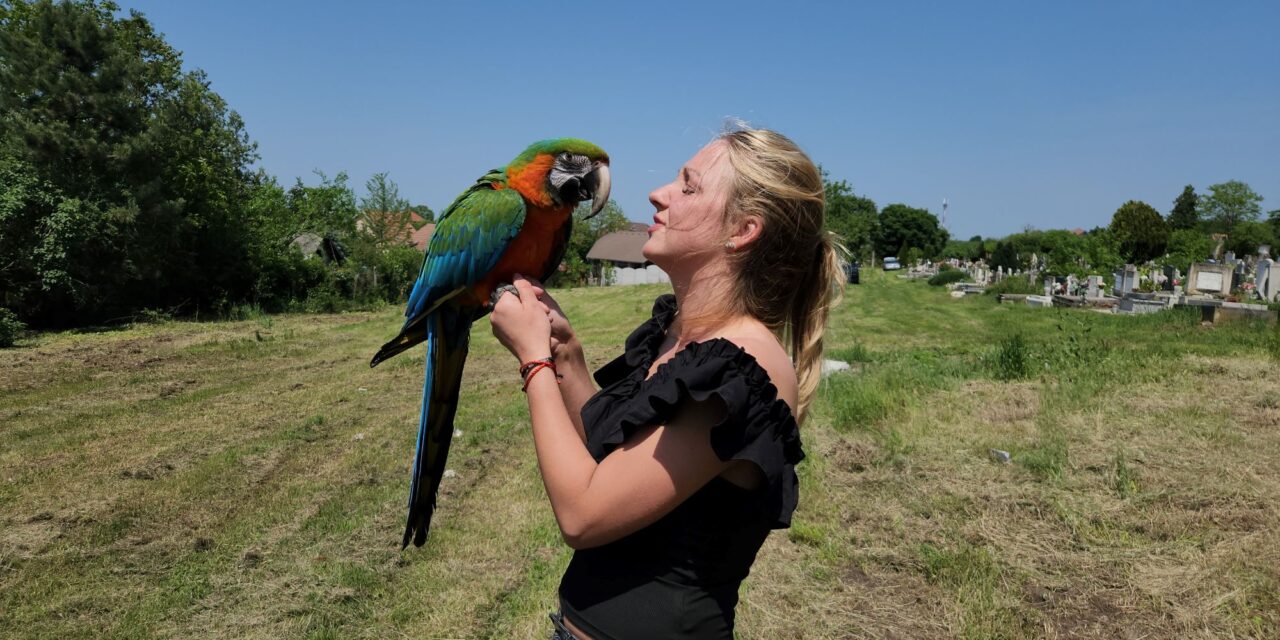 Káromkodott a papagáj, amikor meg akarták menteni
