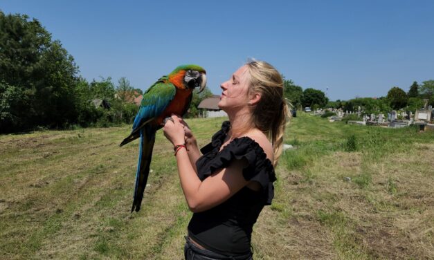 Káromkodott a papagáj, amikor meg akarták menteni