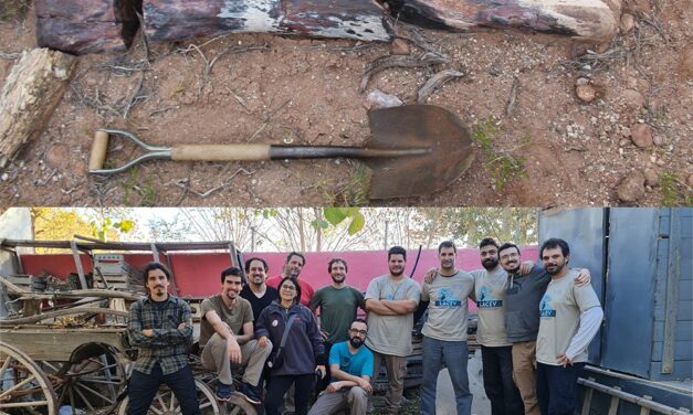 Új hosszú nyakú növényevő dinoszauruszfaj maradványaira bukkantak argentin paleontológusok