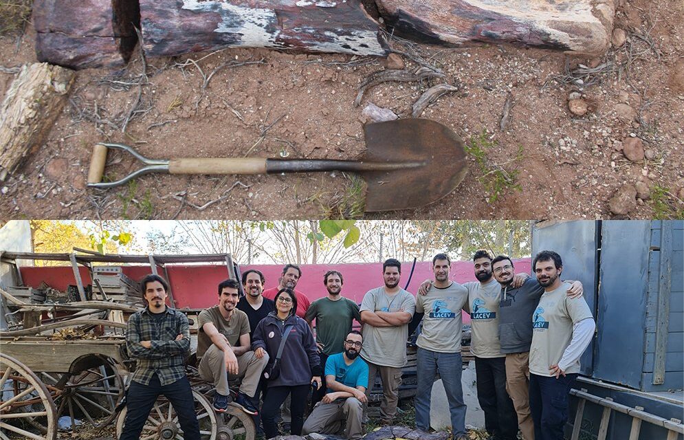 Új hosszú nyakú növényevő dinoszauruszfaj maradványaira bukkantak argentin paleontológusok