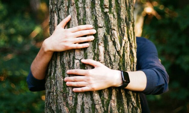 Utassal együtt akarta ellopni az autót, majd egy fenyőfa alá bújt a rendőrök elől