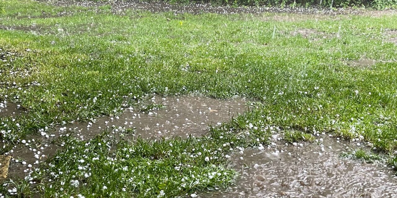 Mintha dézsából öntötték volna (Fotó)