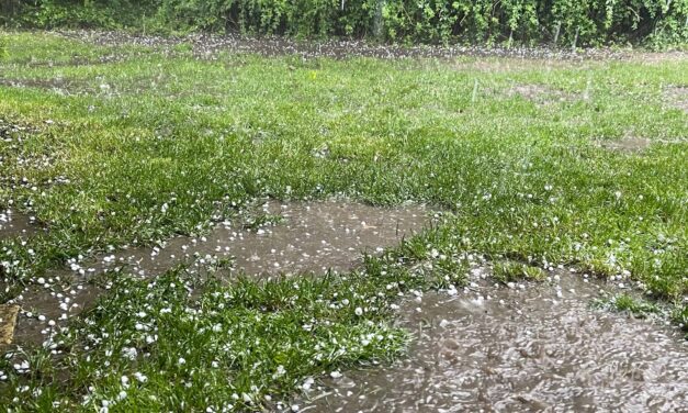 Mintha dézsából öntötték volna (Fotó)