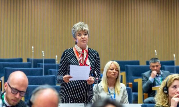 Kovács Elvira: Szerbiát néha igazságtalanul támadják