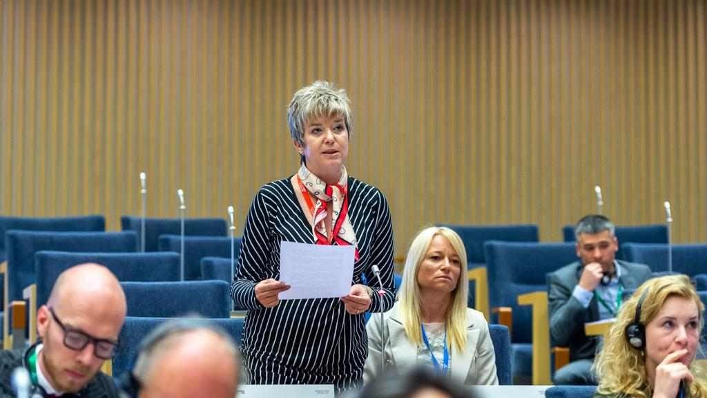 Kovács Elvira: Szerbiát néha igazságtalanul támadják