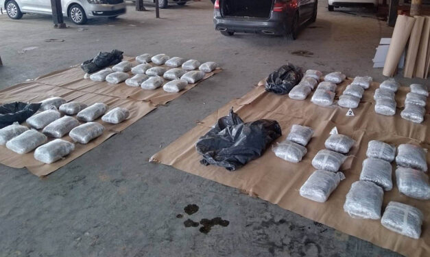 Ötven kilogramm marihuánát foglaltak le a rendőrök Belgrádban