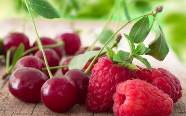 A vajdasági gyümölcs minőségi védjegyet kap