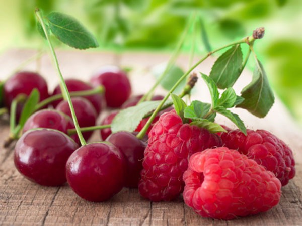 A vajdasági gyümölcs minőségi védjegyet kap