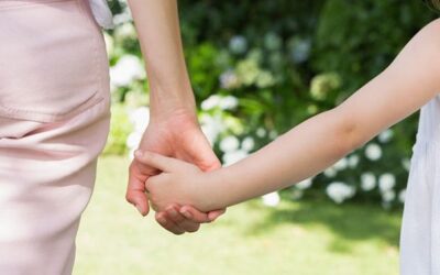 Oktatóvideó segít élni a Tartásdíj Alap adta lehetőséggel