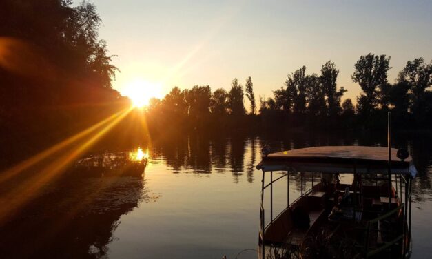 „A Tisza? Minden, ami az élethez nélkülözhetetlen”