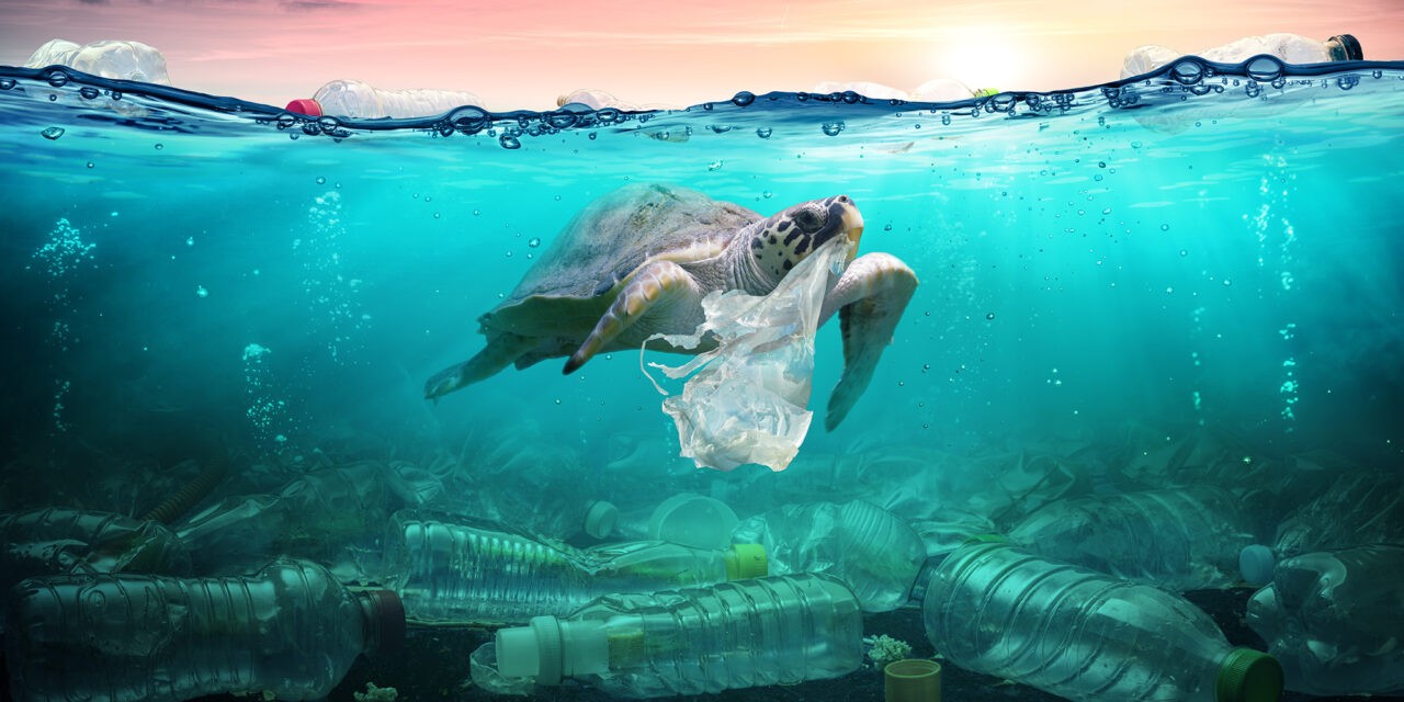 <span class="entry-title-primary">Fuldokolni a műanyagban</span> <span class="entry-subtitle">Ma van a Környezetvédelmi Világnap</span>