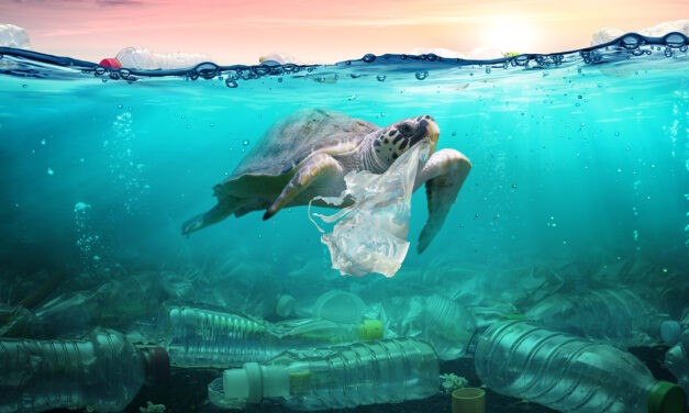 Fuldokolni a műanyagban