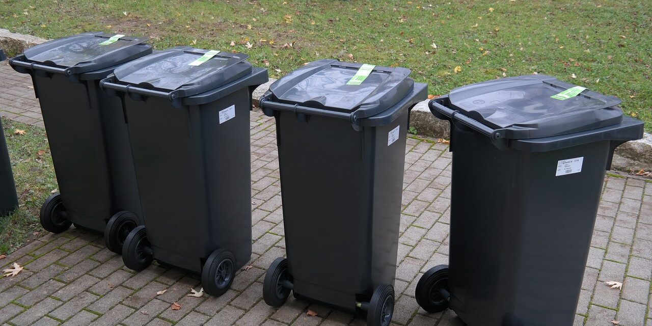 <span class="entry-title-primary">Környezetvédelemmel és önkéntes munkával foglalkoznak, mégis fizetniük kell a szemét elszállításáért</span> <span class="entry-subtitle">Szemeteskuka nem jár, de a számlát ki kell fizetniük</span>