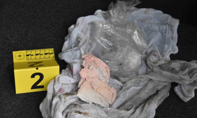 Kokaint foglaltak le a rendőrök Szabadkán