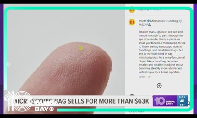 Sószemnél is kisebb táskát adtak el 63 ezer dollárért