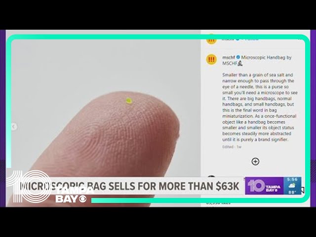 Sószemnél is kisebb táskát adtak el 63 ezer dollárért