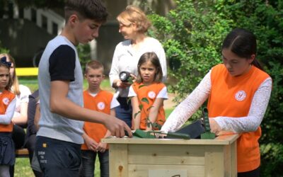 Elültették az óbecsei Petőfi iskolában a költőóriás körtefájának apró oltványát
