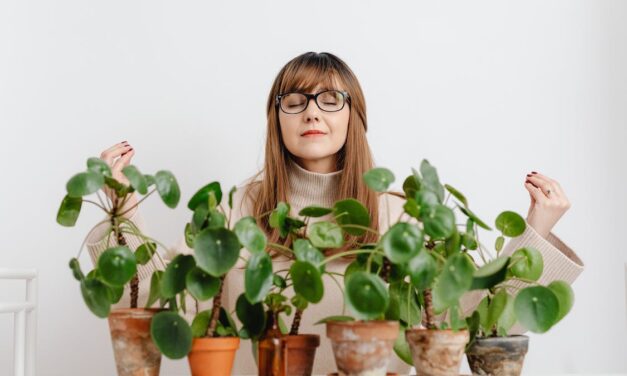 Hatékonyan tudják kiszűrni a szoba levegőjében lévő méreganyagokat a szobanövények