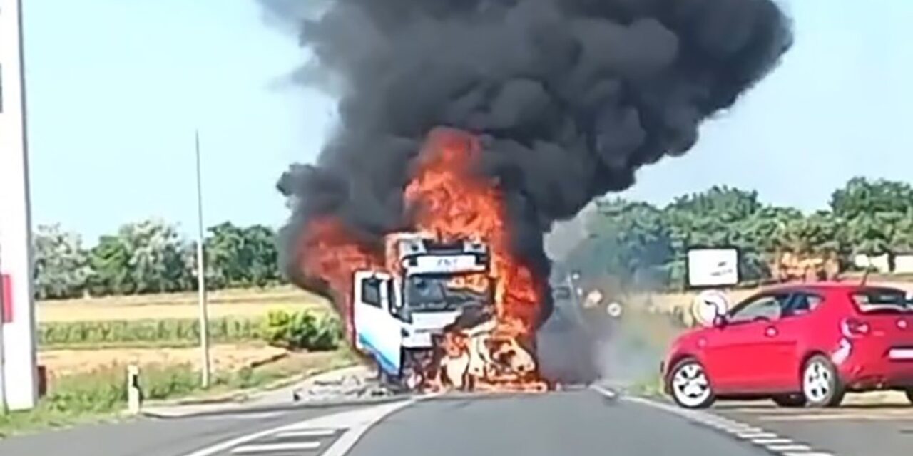 Egy ember meghalt, óriási kocsisor torlódott fel a Szabadka és Bajmok közötti úton