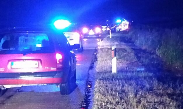 Halálos közlekedési baleset Bajmok és Pacsér között