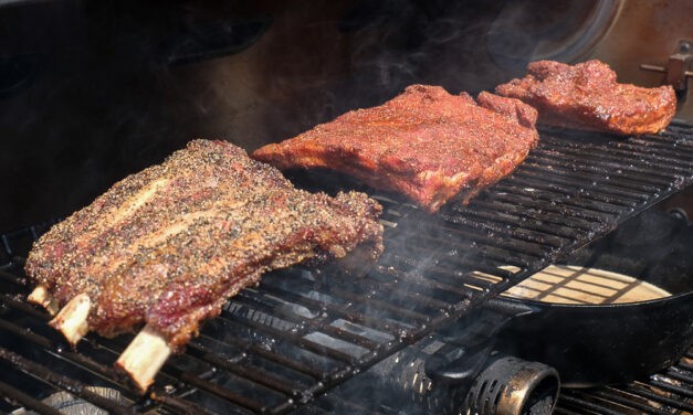 BBQ Fesztivál a Tisza mellett (fotók)