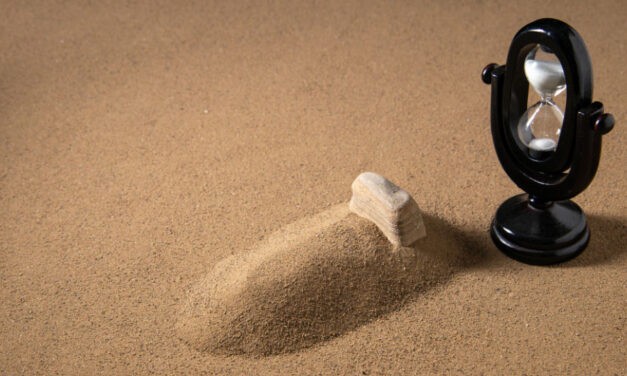 <span class="entry-title-primary">A mi meg nem született gyermekeinknek még sírhantjuk sincs – ez nem cikk, hanem egy sikoly!</span> <span class="entry-subtitle">Nenad Kulačin válasza Aleksandar Martinovićnak</span>