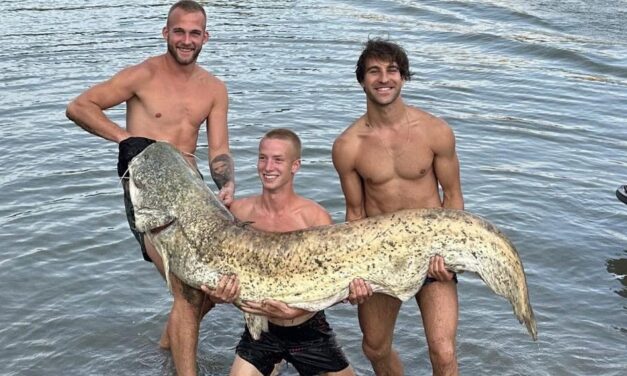 Ötvennyolc kilós harcsát fogtak Zentánál