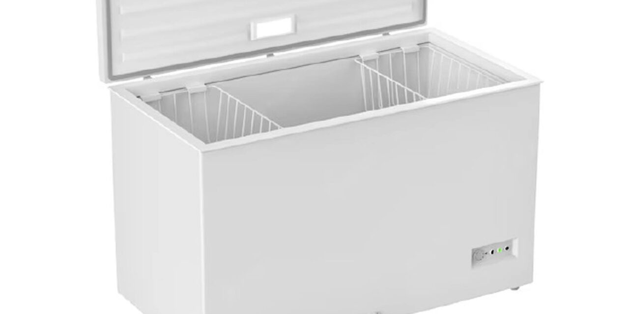 Fagyasztóládában lelte halálát egy rendőrök elől menekülő férfi