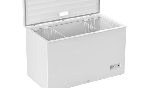 Fagyasztóládában lelte halálát egy rendőrök elől menekülő férfi