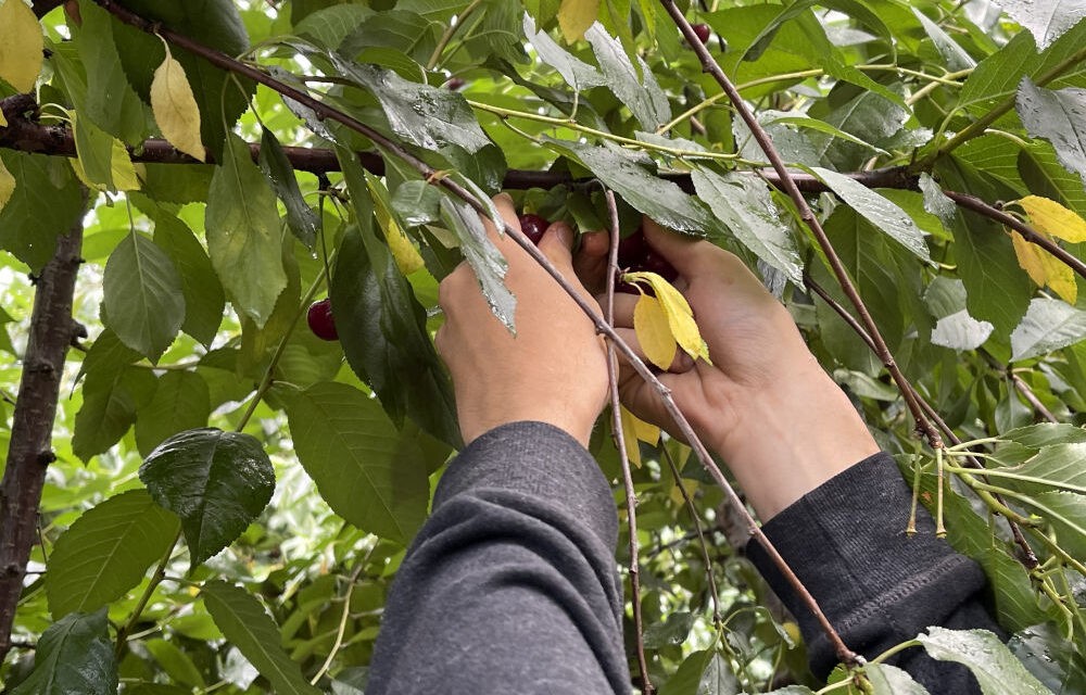 Ma már az ötvenen felüliek is könnyebben találnak munkát