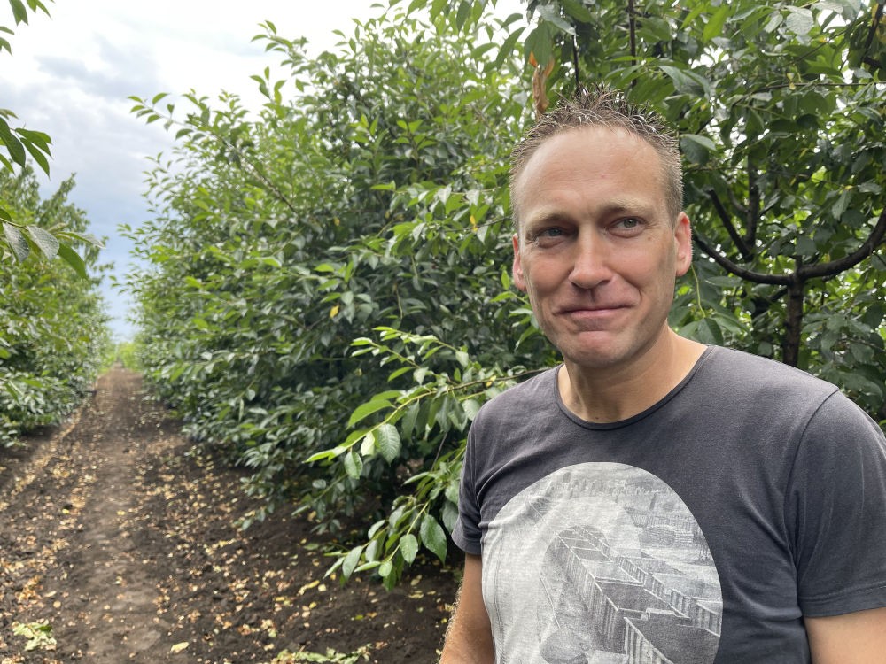 Zoraje Tihomir, a gazda