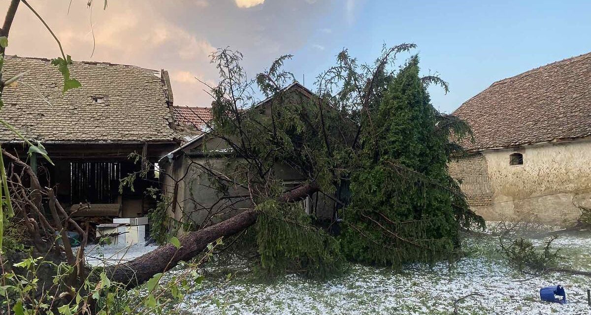 Ítéletidő pusztított Vajdaságban (Fotók+videó)