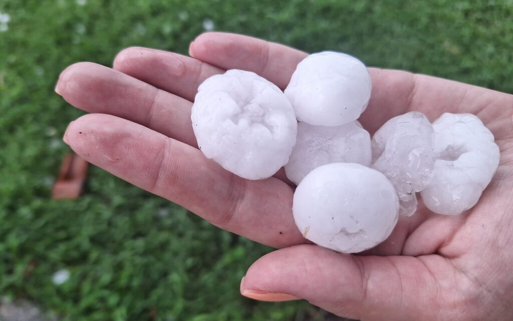 A jégvédelmi háló sem ért semmit, szinte száz százalékos a kár a mezőgazdaságban