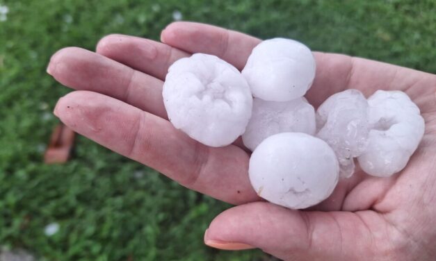 A jégvédelmi háló sem ért semmit, szinte száz százalékos a kár a mezőgazdaságban