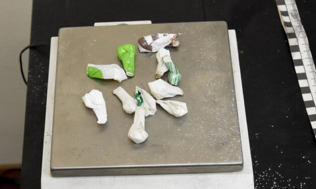 Gázpisztoly és drog is volt a huszonhat éves szabadkai férfinál