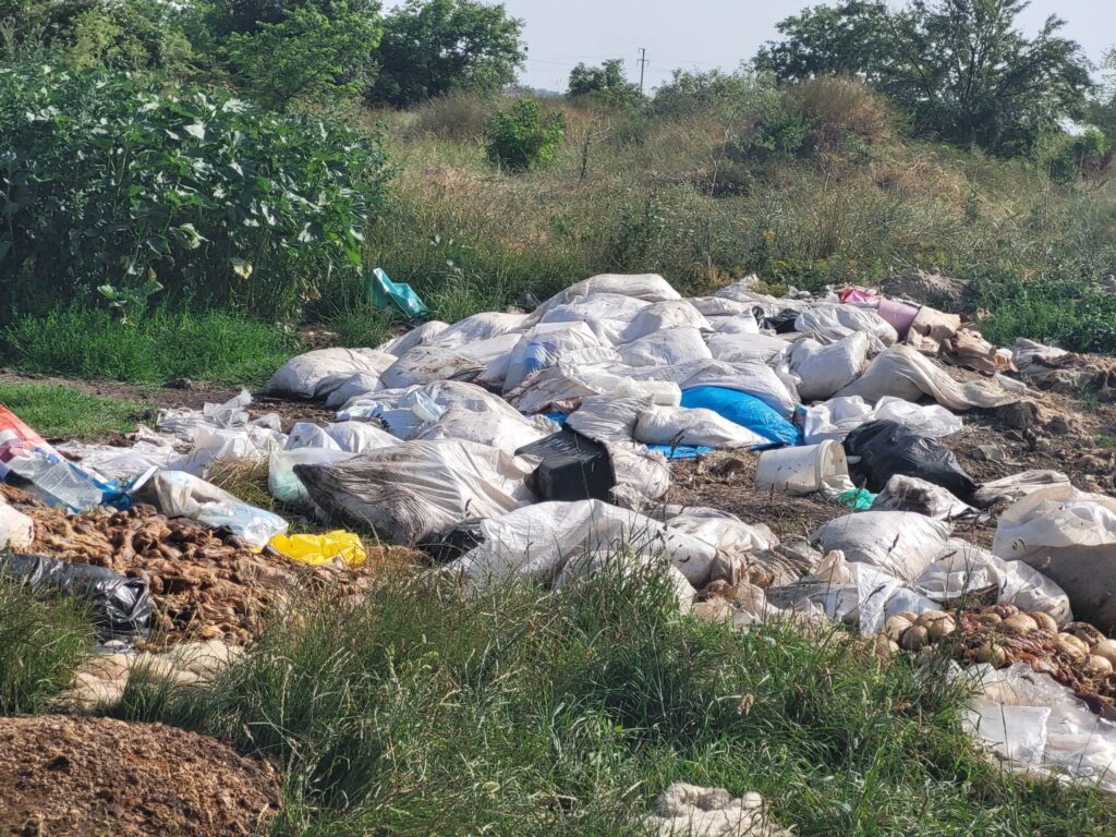 komunalac óbecse dögtemető előtte