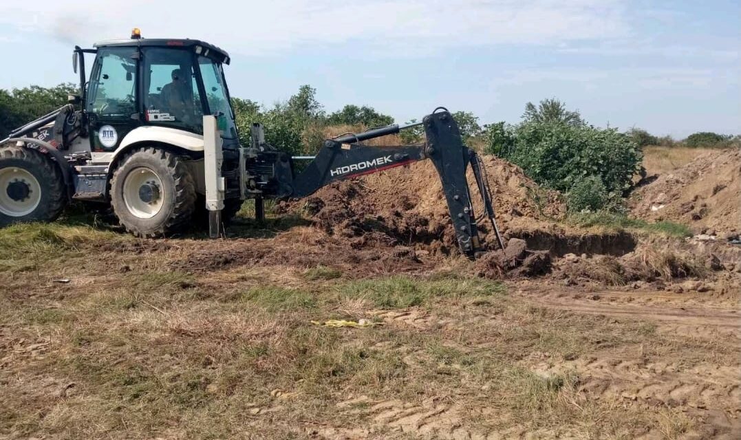 Közösségi nyomásra eltakarították a dögtetemeket Óbecsén