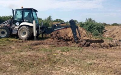 Közösségi nyomásra eltakarították a dögtetemeket Óbecsén