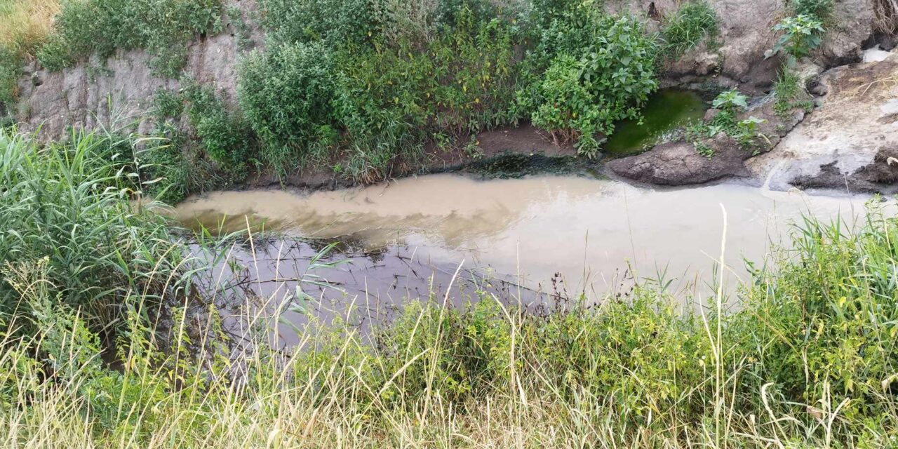 <span class="entry-title-primary">„Ezeknek az állapotoknak sürgősen véget kell vetni”</span> <span class="entry-subtitle">Nyílt levél a Krivaj patak szennyezésének leállítására</span>