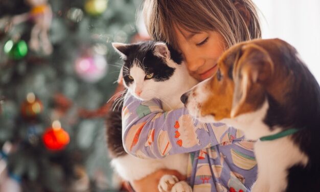 Diszkriminatív, ha a gyerekvállalás szerint különböztetik meg az embereket