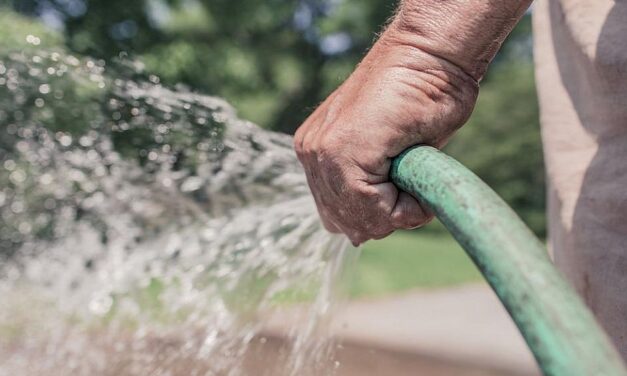 Spórolni kellene a vízzel Szabadkán