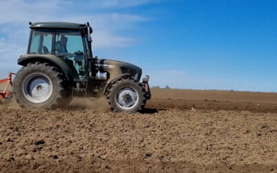 Egy kifli annyiba kerül a péknél, mint három kilogramm búza