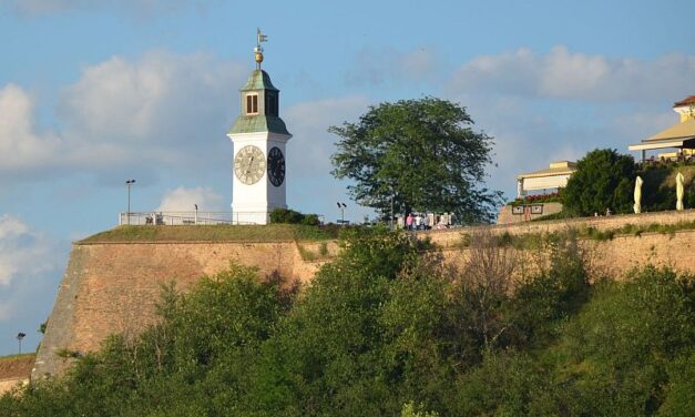 Egy kutya és gazdája is leestek a Péterváradi-vár faláról