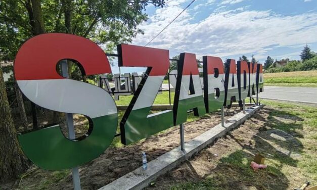 VMDK: Szabadka gazdasági válság előtt