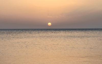 Négy új hegyet találtak a Földön