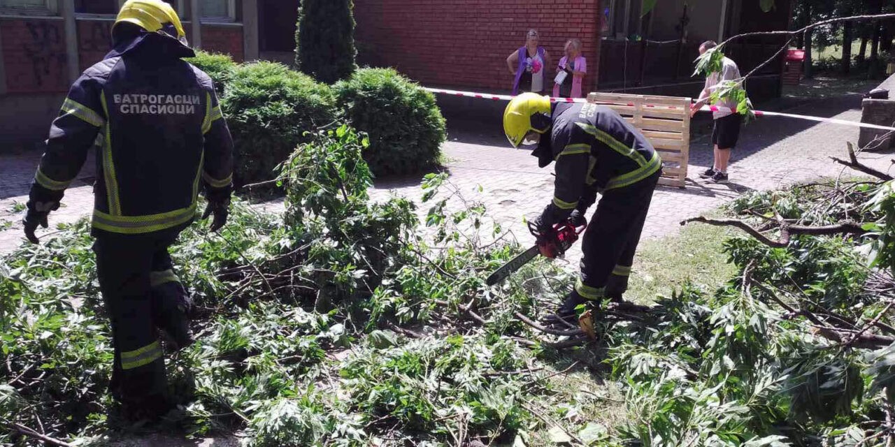 Szabadkán is bejelenthetők a viharkárok