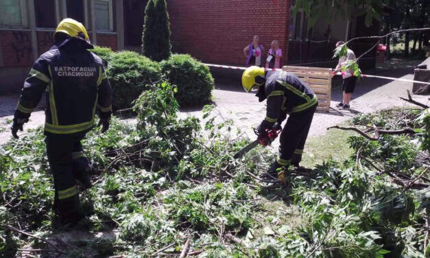 Szabadkán is bejelenthetők a viharkárok