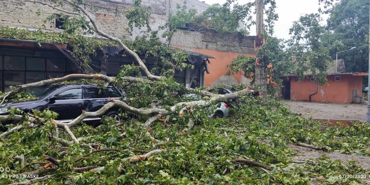 Liga: A viharkárok megmutatják a csupasz igazságot, hogy Vajdaságot mennyire elhanyagolták