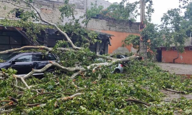 Liga: A viharkárok megmutatják a csupasz igazságot, hogy Vajdaságot mennyire elhanyagolták